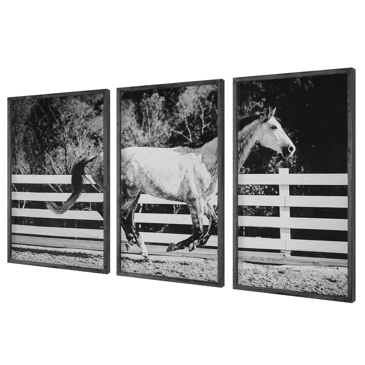 American Home Furniture Uttermost Galloping Forward Equine Prints, Set/3