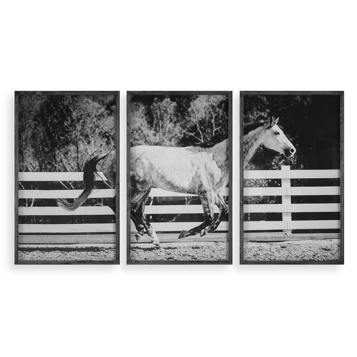 American Home Furniture Uttermost Galloping Forward Equine Prints, Set/3