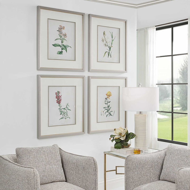 American Home Furniture Uttermost Heirloom Blooms Study Framed Prints Set of 4