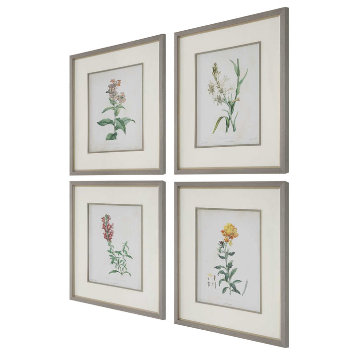 American Home Furniture Uttermost Heirloom Blooms Study Framed Prints Set of 4