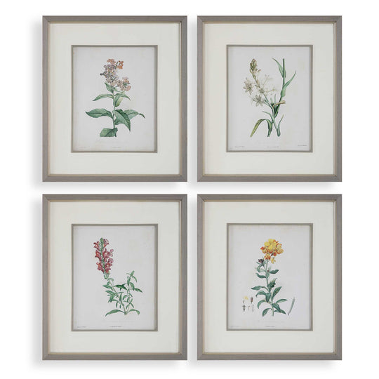 American Home Furniture Uttermost Heirloom Blooms Study Framed Prints Set of 4