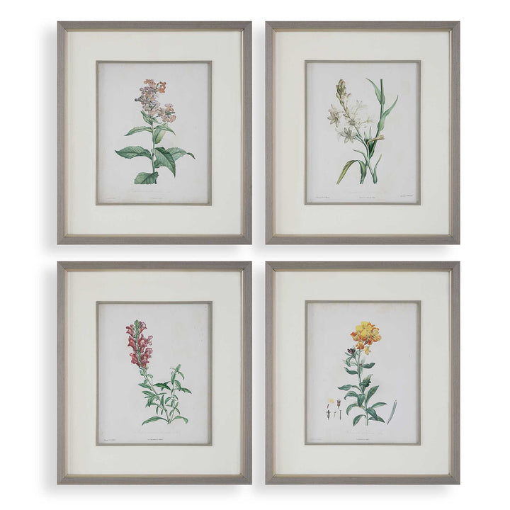 American Home Furniture Uttermost Heirloom Blooms Study Framed Prints Set of 4