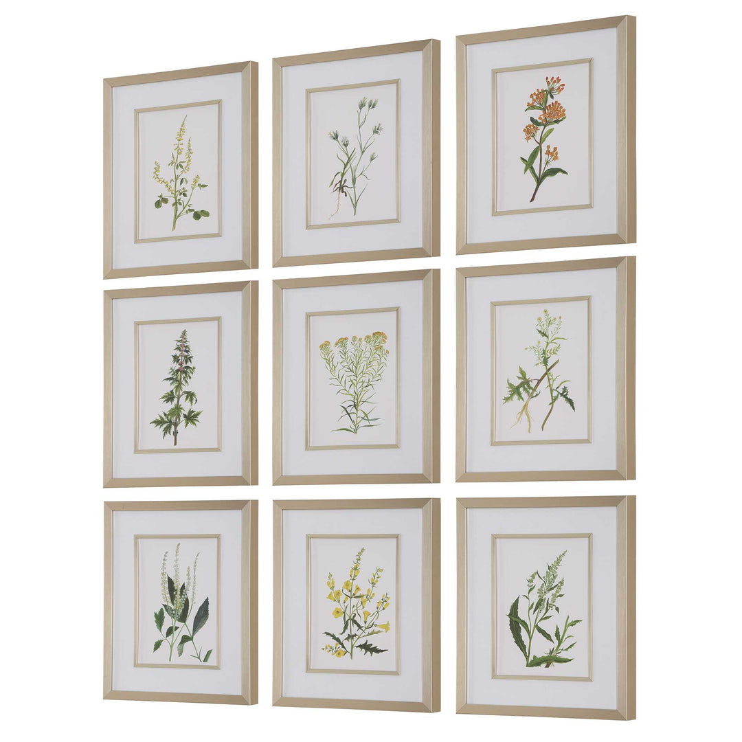 American Home Furniture Uttermost Botanical Flowers Framed Prints, S/9
