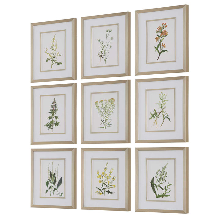 American Home Furniture Uttermost Botanical Flowers Framed Prints, S/9