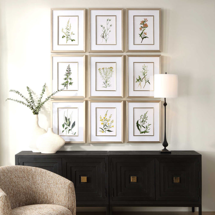 American Home Furniture Uttermost Botanical Flowers Framed Prints, S/9