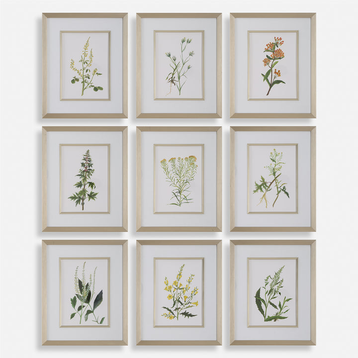 American Home Furniture | Uttermost - Botanical Flowers Framed Prints, S/9