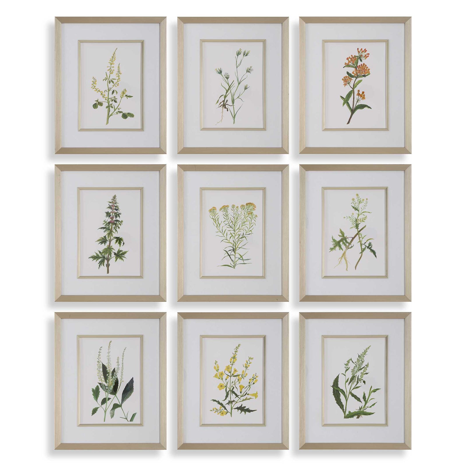 American Home Furniture Uttermost Botanical Flowers Framed Prints, S/9