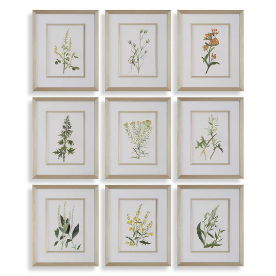 American Home Furniture Uttermost Botanical Flowers Framed Prints, S/9