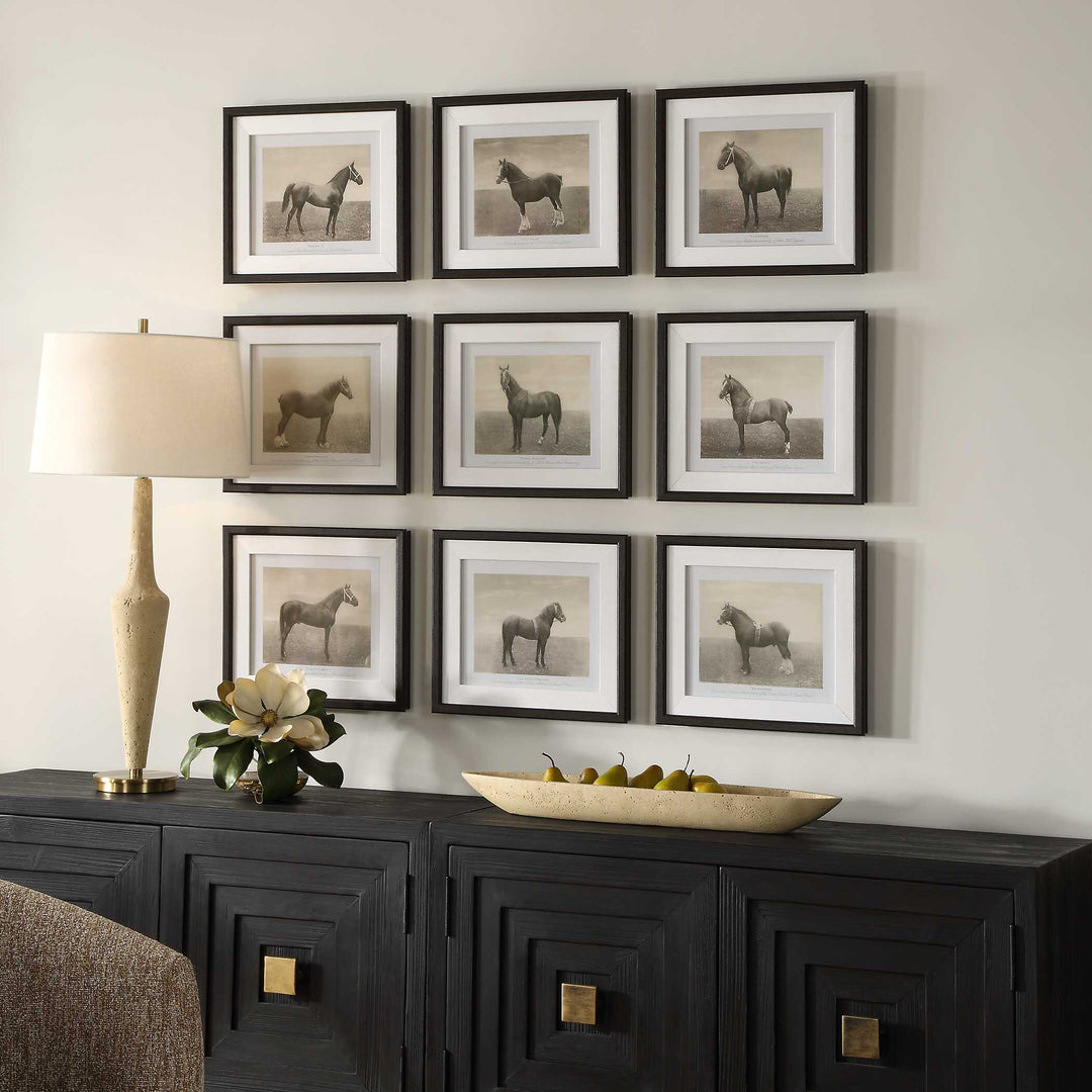 American Home Furniture Uttermost Equine Dynasty Framed Prints, S/9