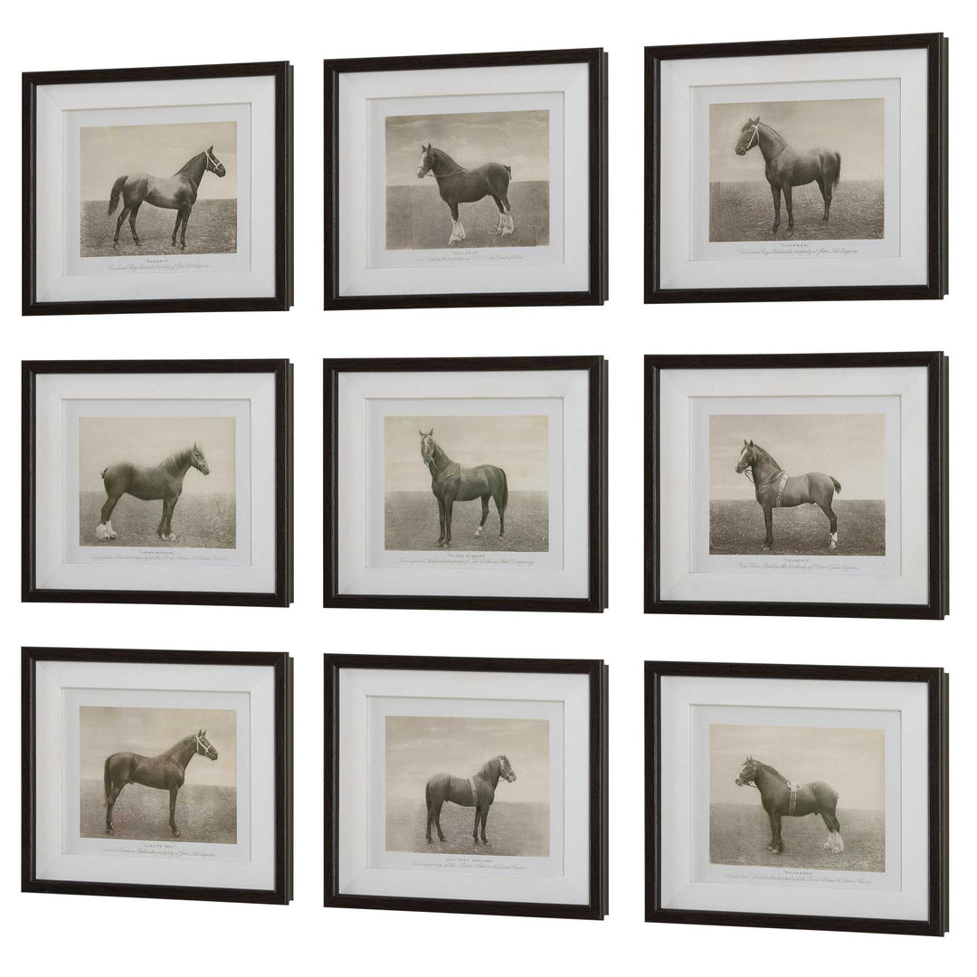 American Home Furniture Uttermost Equine Dynasty Framed Prints, S/9