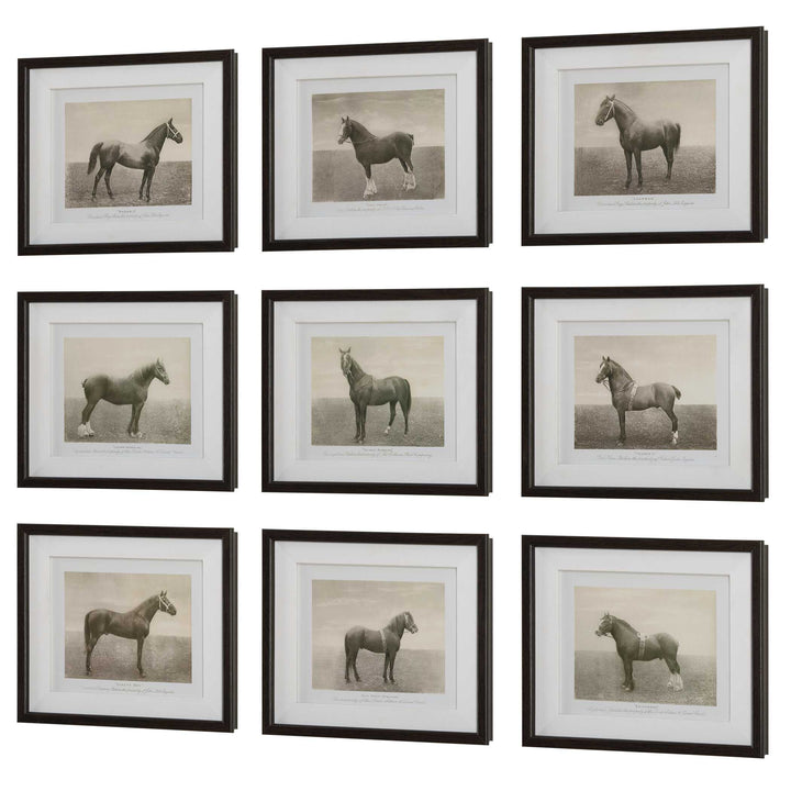 American Home Furniture Uttermost Equine Dynasty Framed Prints, S/9