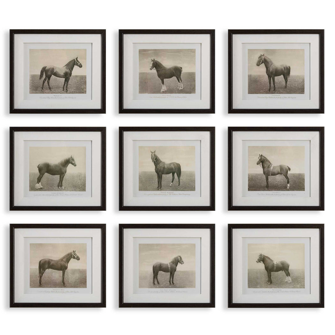 American Home Furniture Uttermost Equine Dynasty Framed Prints, S/9