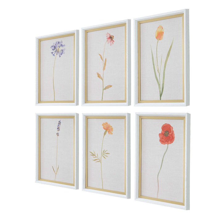 American Home Furniture Uttermost Wild Flourish Framed Floral Prints Set of 6