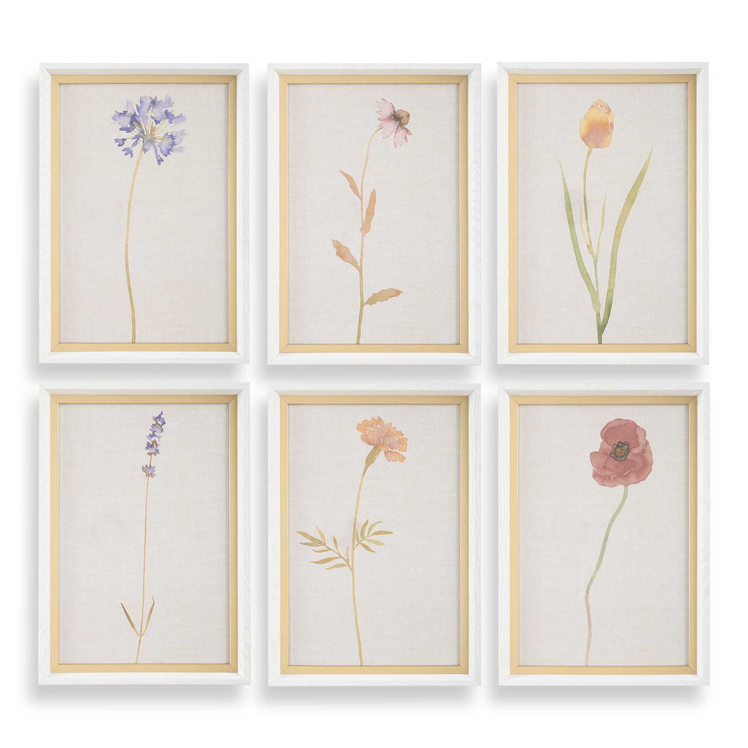 American Home Furniture Uttermost Wild Flourish Framed Floral Prints Set of 6