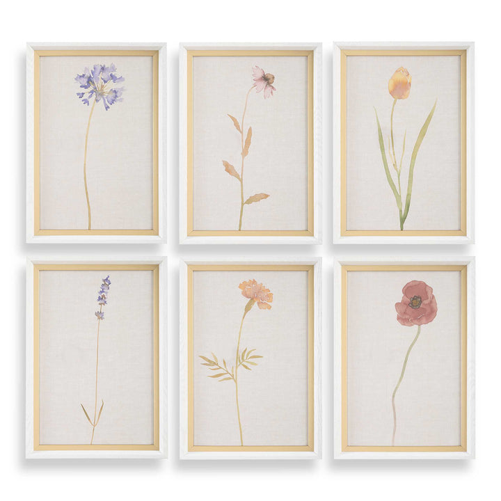 American Home Furniture Uttermost Wild Flourish Framed Floral Prints Set of 6