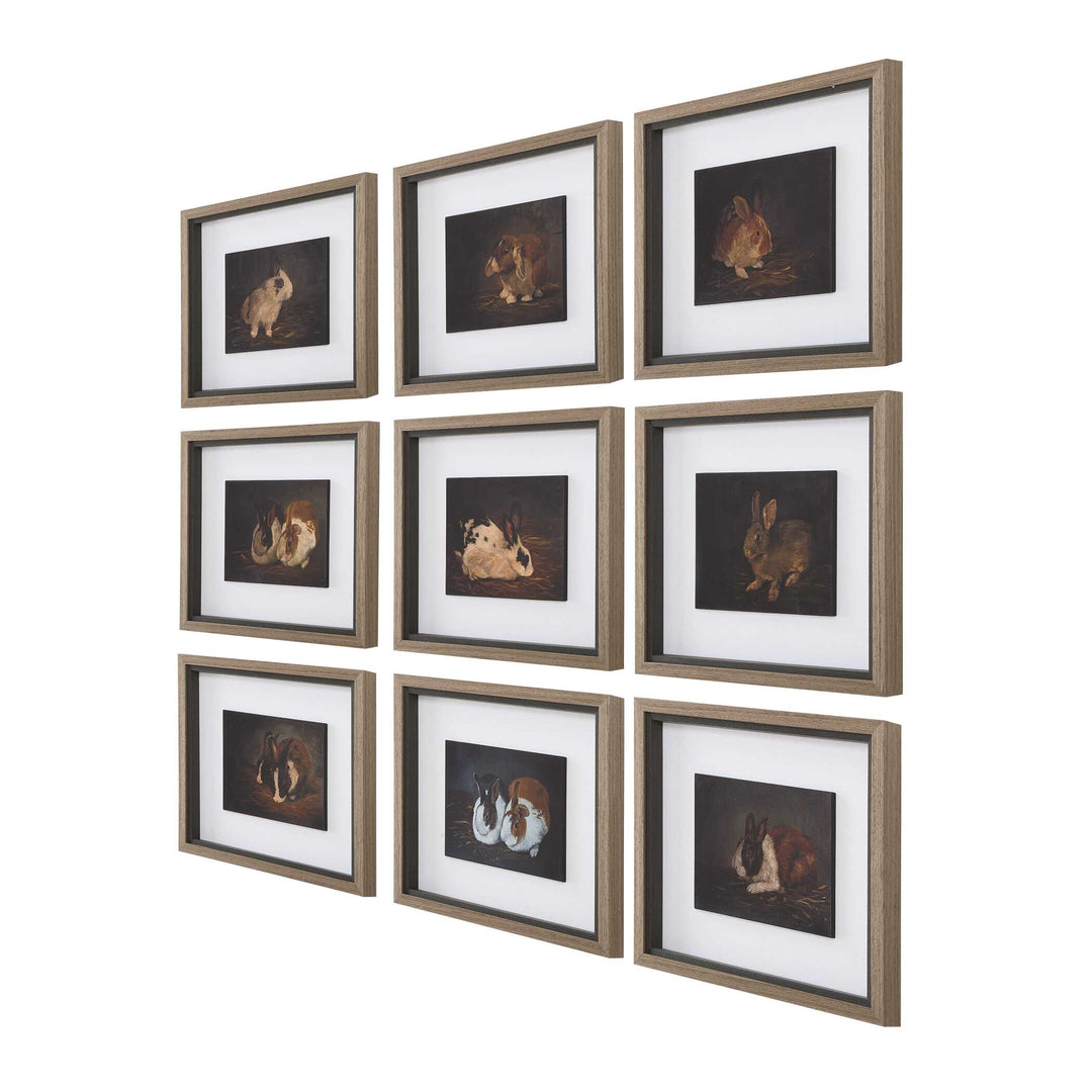 American Home Furniture Uttermost Resting Bunny Framed Prints Set of 9