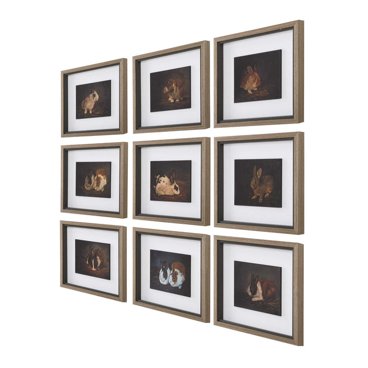 American Home Furniture Uttermost Resting Bunny Framed Prints Set of 9