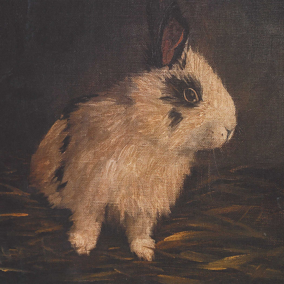 American Home Furniture Uttermost Resting Bunny Framed Prints Set of 9
