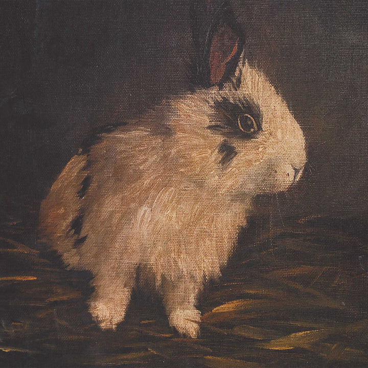 American Home Furniture Uttermost Resting Bunny Framed Prints Set of 9