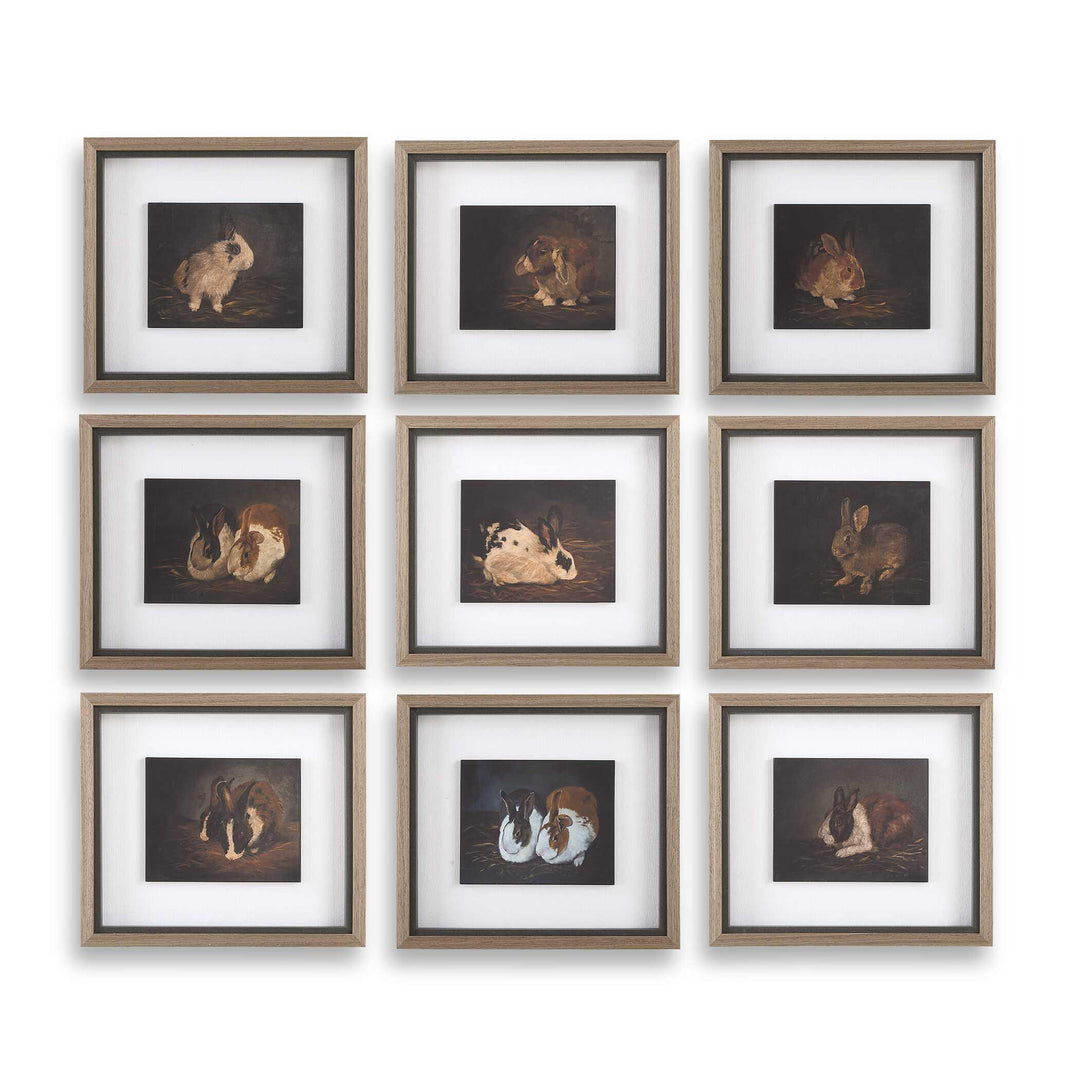 Resting Bunny Framed Prints - Set of 9 - AmericanHomeFurniture