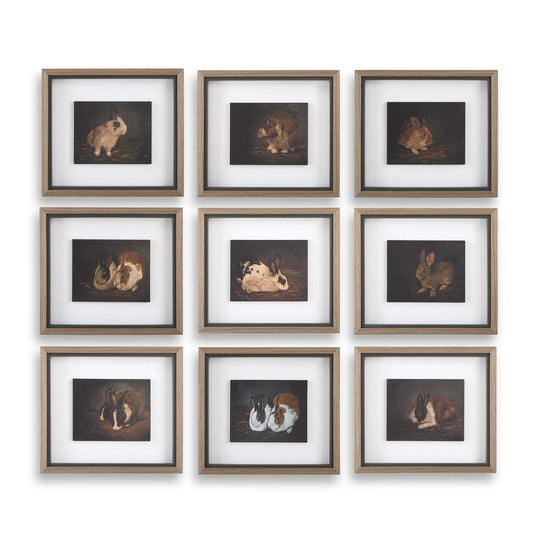 American Home Furniture Uttermost Resting Bunny Framed Prints Set of 9