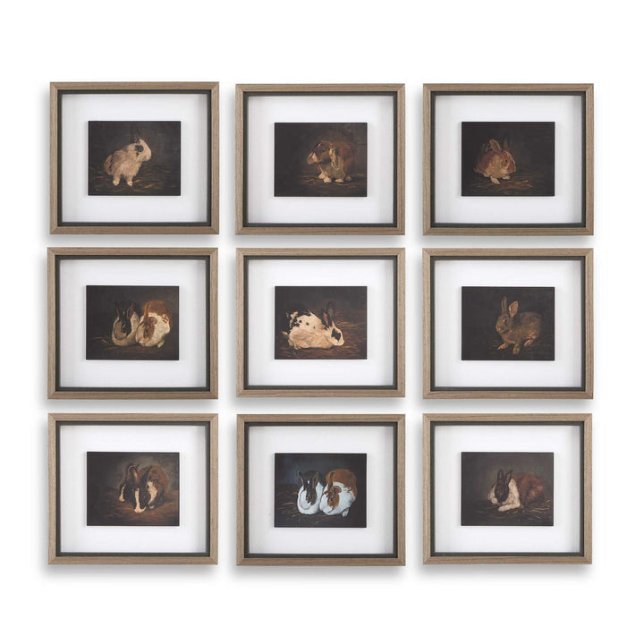 American Home Furniture Uttermost Resting Bunny Framed Prints Set of 9