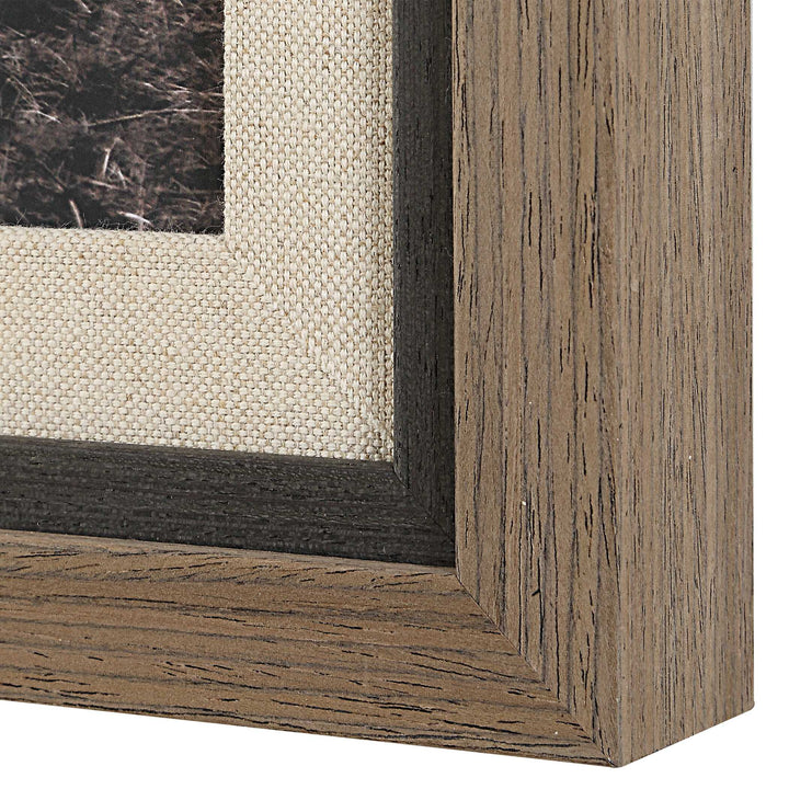 American Home Furniture Uttermost King Of The Hill Framed Bovine Print
