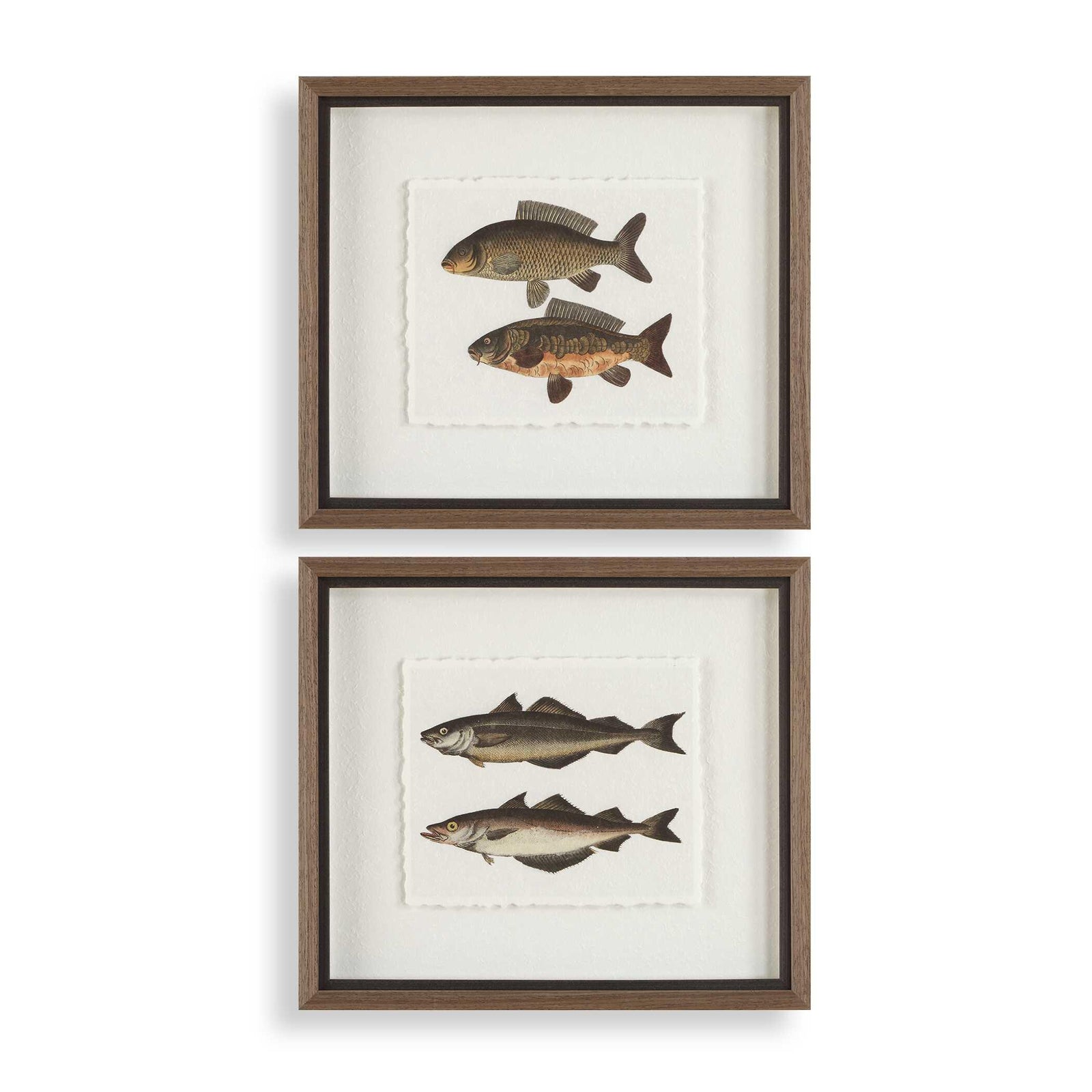 Uttermost The Catch Framed Fish Prints - Set of 2 WALL ART