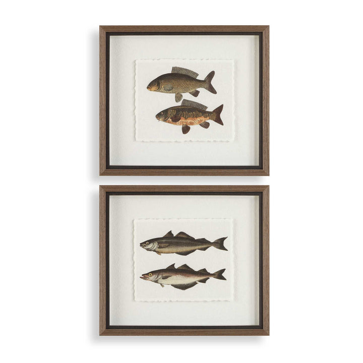 American Home Furniture Uttermost The Catch Framed Fish Prints Set of 2