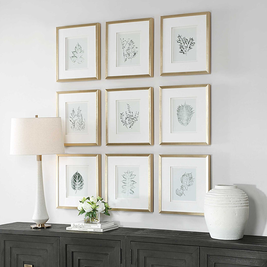 American Home Furniture Uttermost Nature's Script Framed Botanical Prints Set of 9