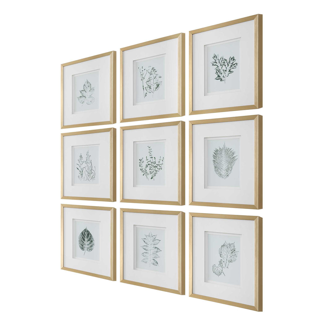American Home Furniture Uttermost Nature's Script Framed Botanical Prints Set of 9