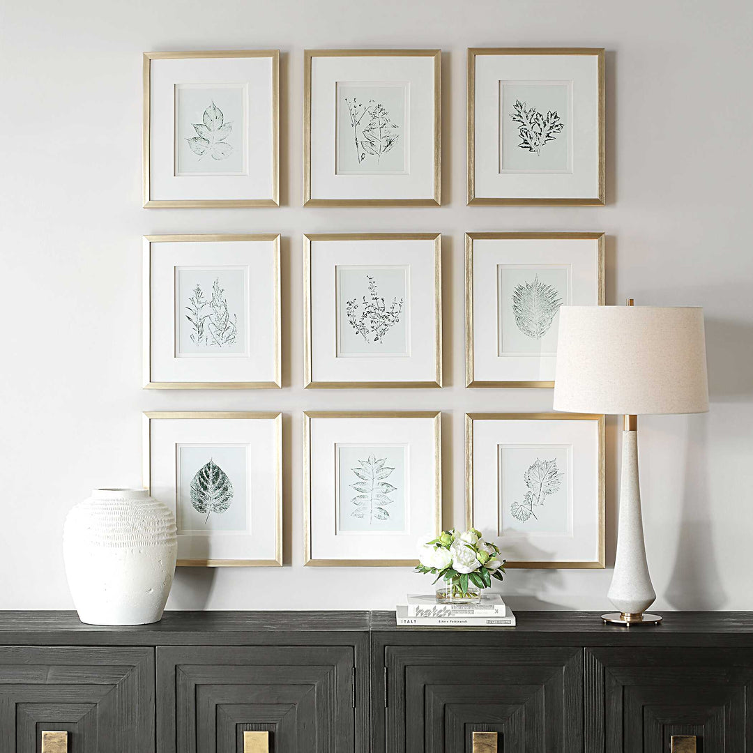 American Home Furniture Uttermost Nature's Script Framed Botanical Prints Set of 9