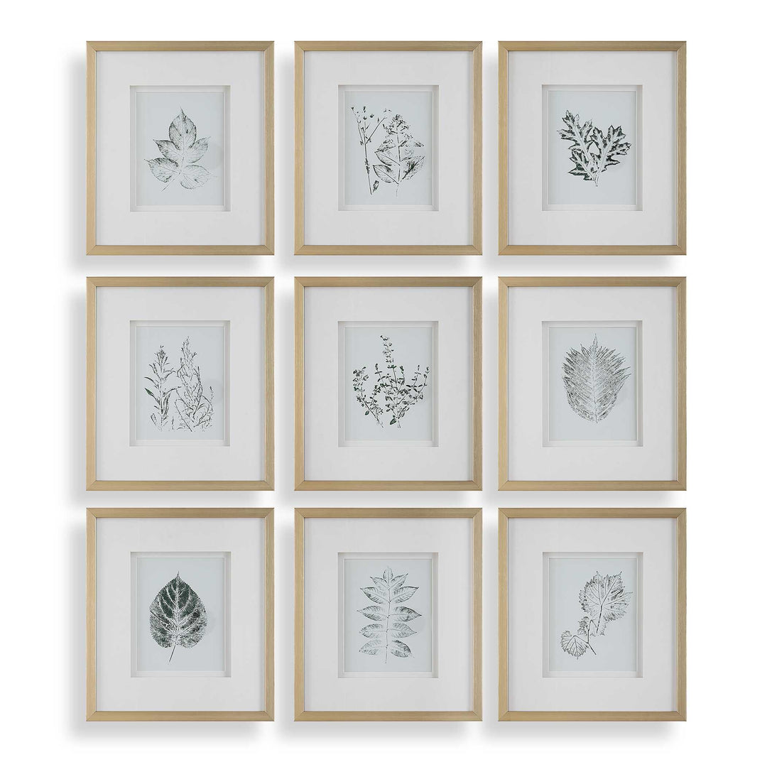 Nature's Script Framed Botanical Prints - Set of 9 - AmericanHomeFurniture