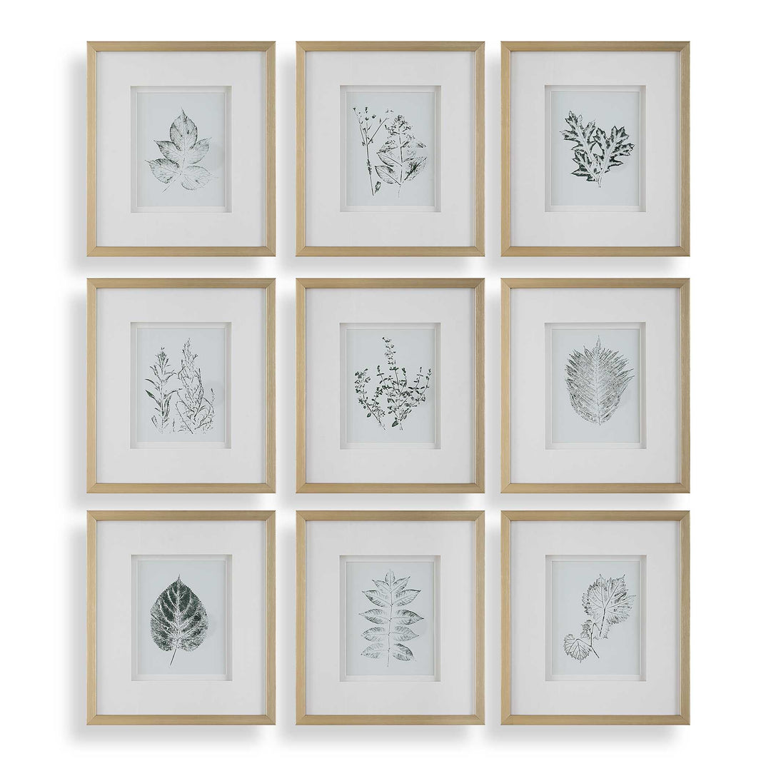 American Home Furniture Uttermost Nature's Script Framed Botanical Prints Set of 9
