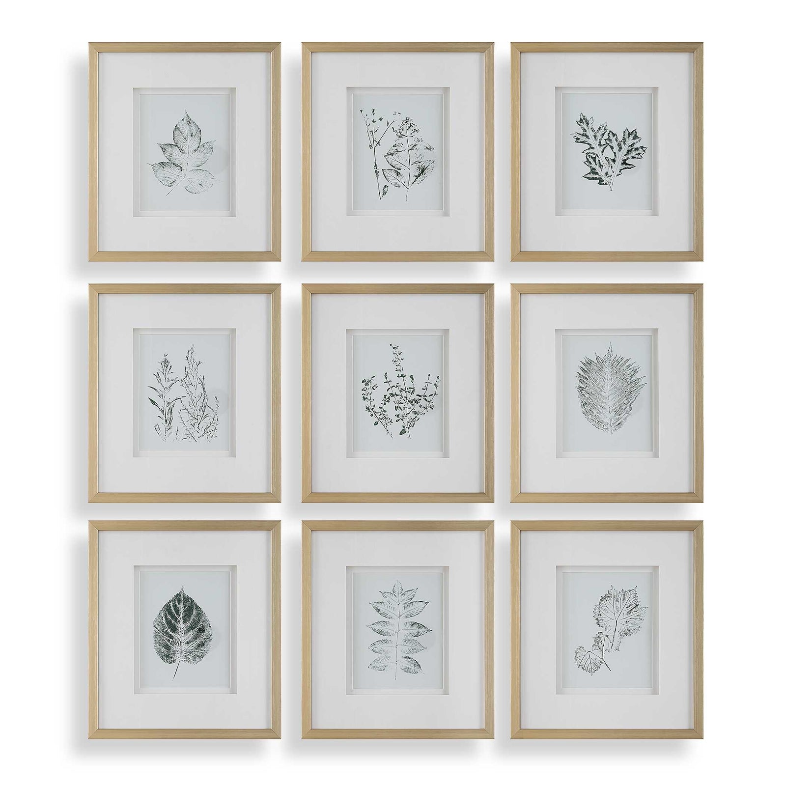 American Home Furniture Uttermost Nature's Script Framed Botanical Prints Set of 9