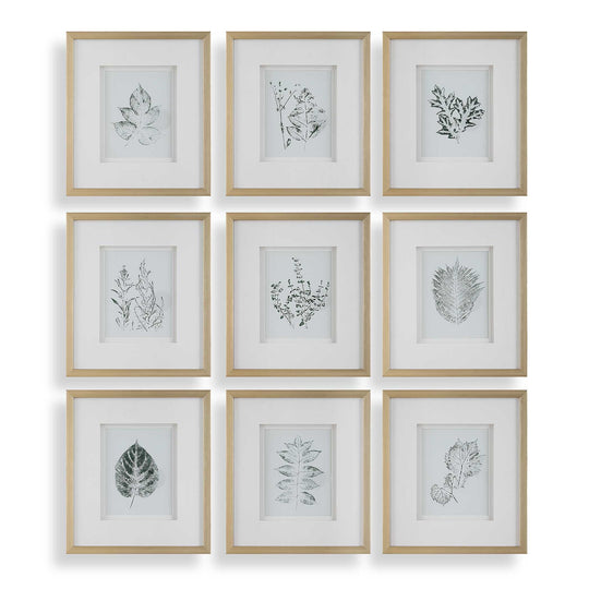 American Home Furniture Uttermost Nature's Script Framed Botanical Prints Set of 9