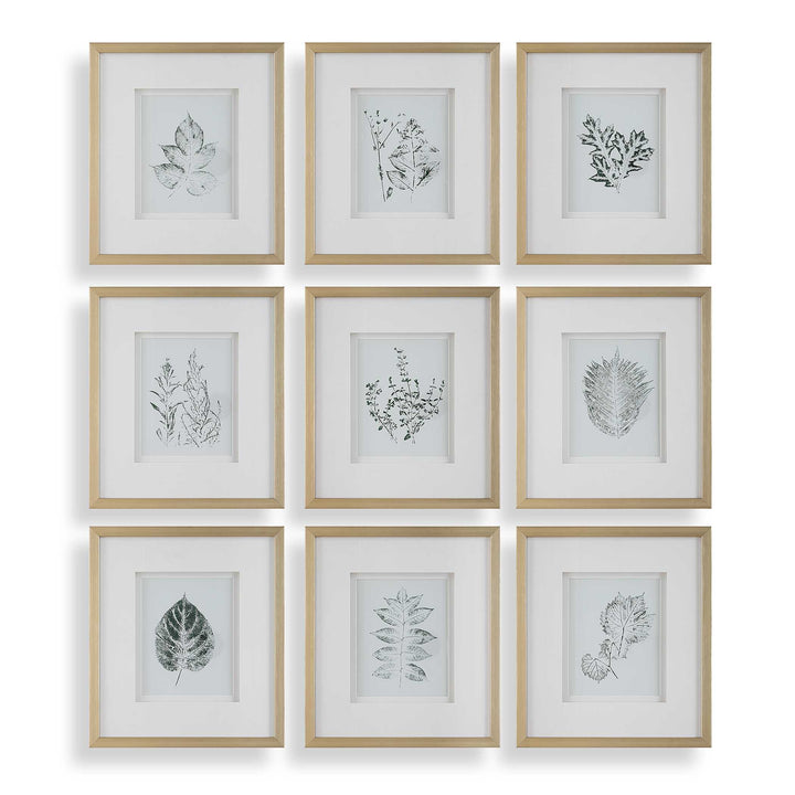 American Home Furniture Uttermost Nature's Script Framed Botanical Prints Set of 9