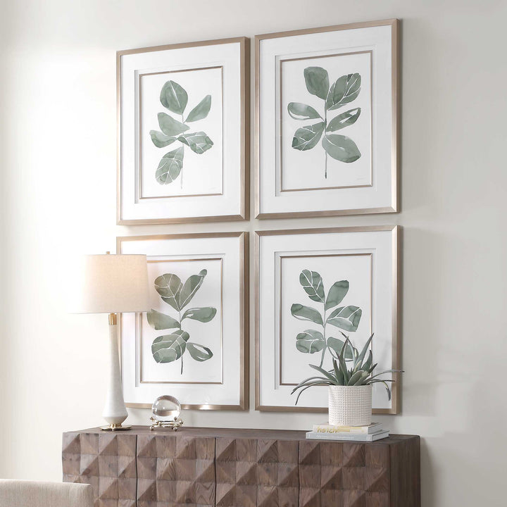 American Home Furniture Uttermost Fiddle Head Leaf Botanical Prints Set of 4