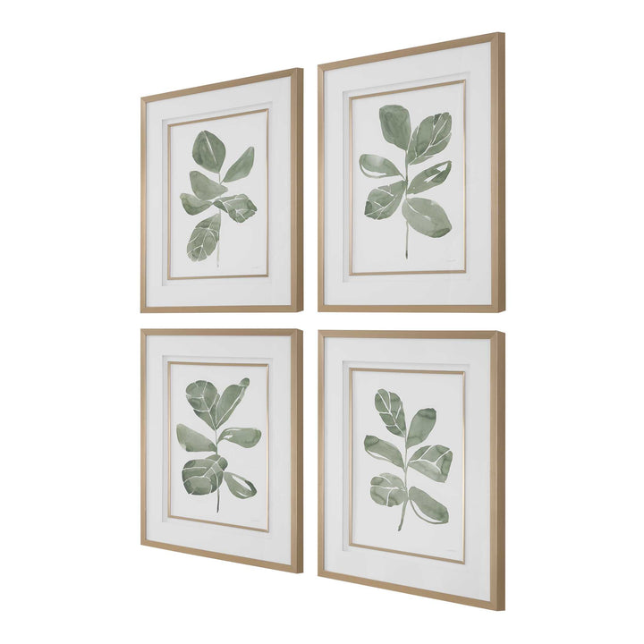American Home Furniture Uttermost Fiddle Head Leaf Botanical Prints Set of 4