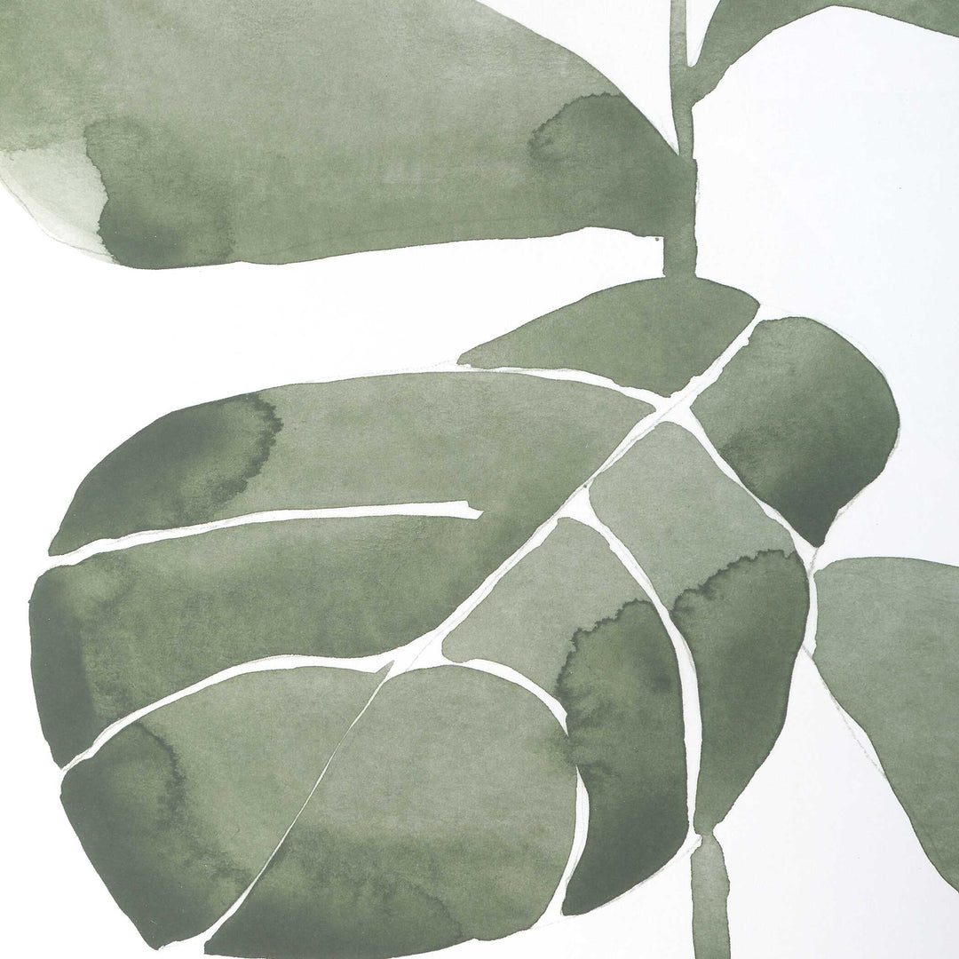 American Home Furniture Uttermost Fiddle Head Leaf Botanical Prints Set of 4