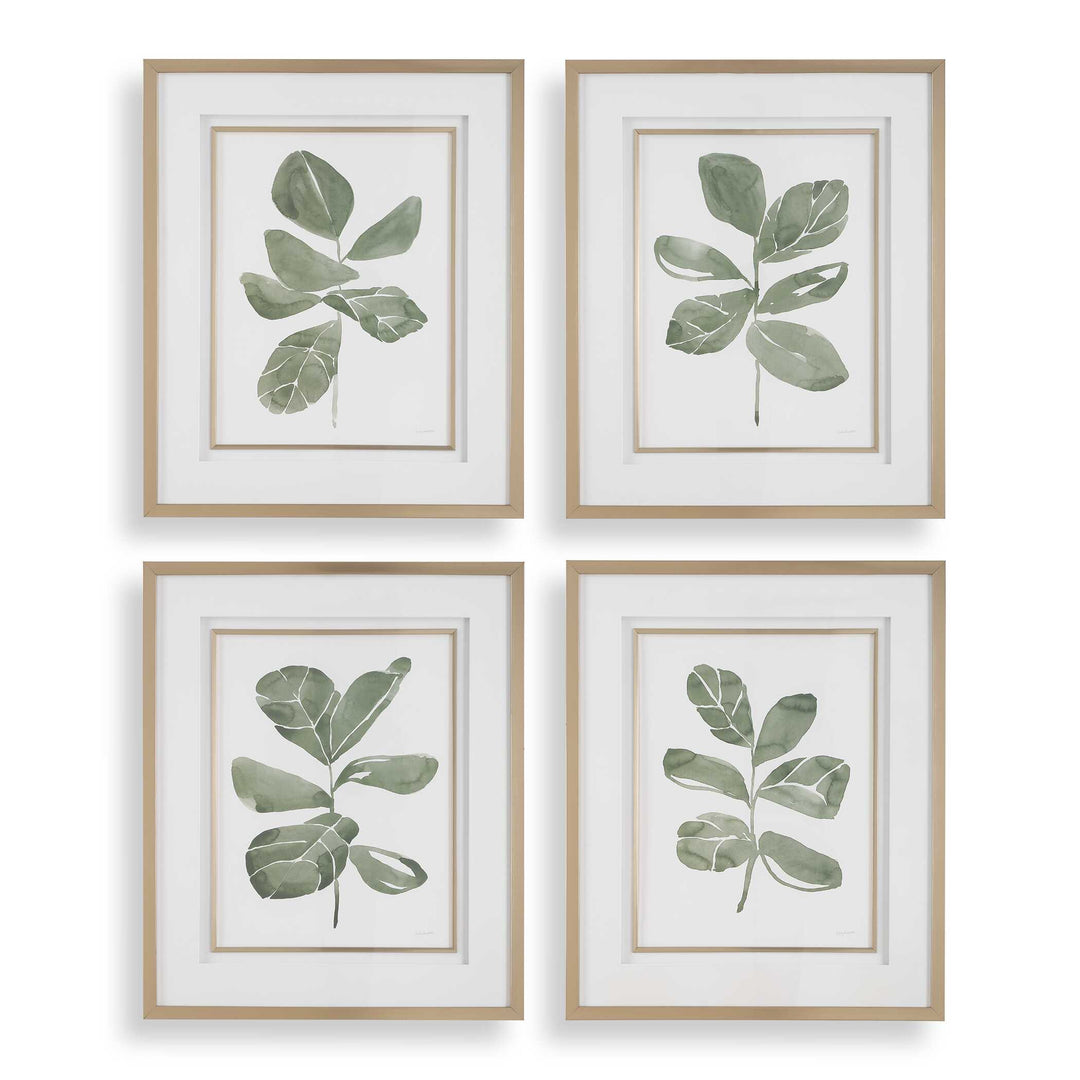 American Home Furniture Uttermost Fiddle Head Leaf Botanical Prints Set of 4