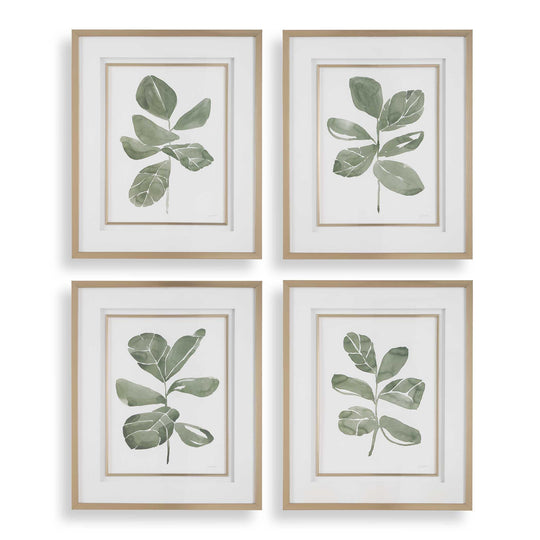 American Home Furniture Uttermost Fiddle Head Leaf Botanical Prints Set of 4