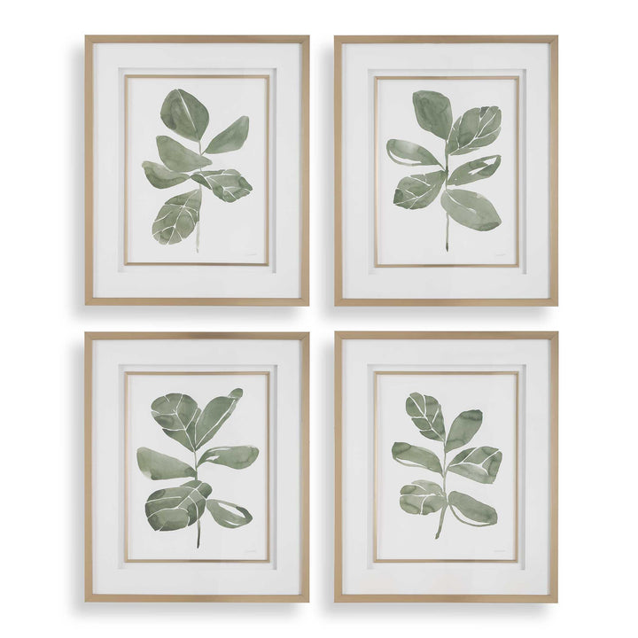 American Home Furniture Uttermost Fiddle Head Leaf Botanical Prints Set of 4