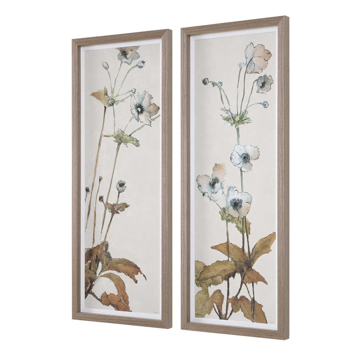 Garden Study Framed Floral Prints, S/2