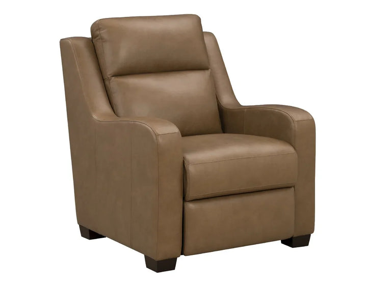 Ayden Power Recliner w/Power Head Rest & Power Lumbar
