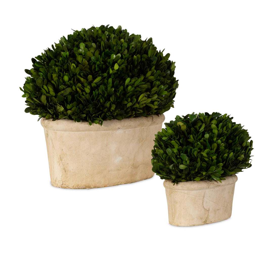 American Home Furniture Uttermost Oval Domes Preserved Boxwood Set/2