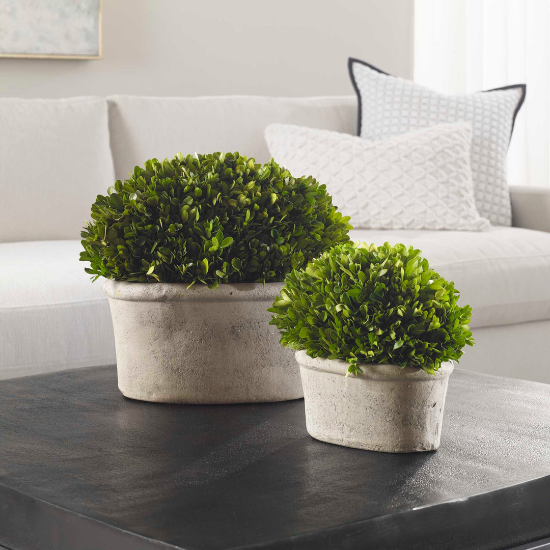 American Home Furniture Uttermost Oval Domes Preserved Boxwood Set/2