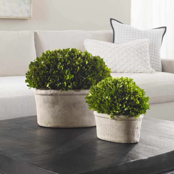 American Home Furniture Uttermost Oval Domes Preserved Boxwood Set/2