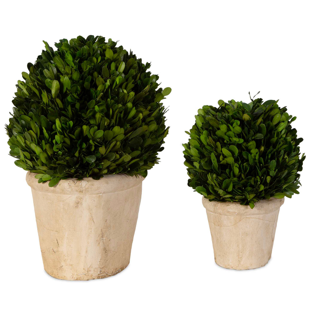 American Home Furniture Uttermost Oval Domes Preserved Boxwood Set/2