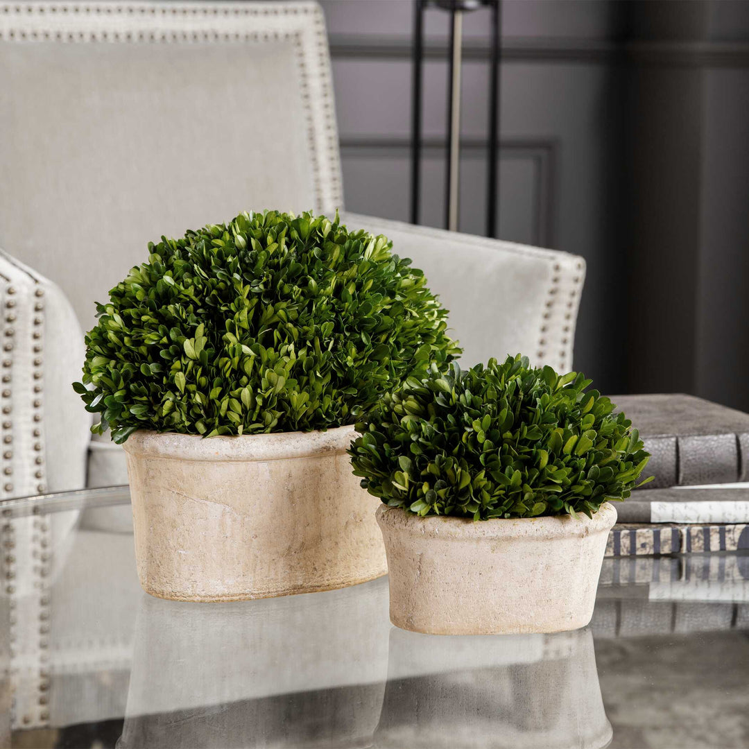 American Home Furniture Uttermost Oval Domes Preserved Boxwood Set/2